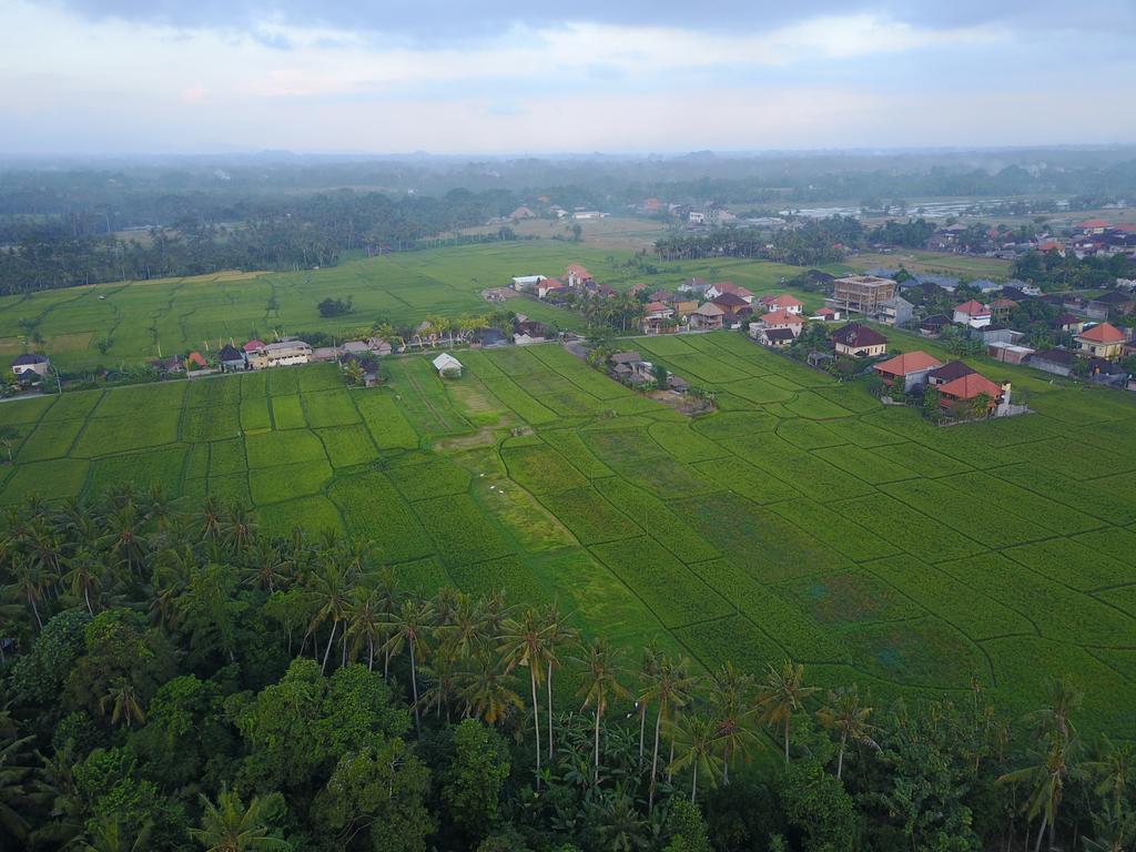 Pangkung Sari Otel Ubud Dış mekan fotoğraf