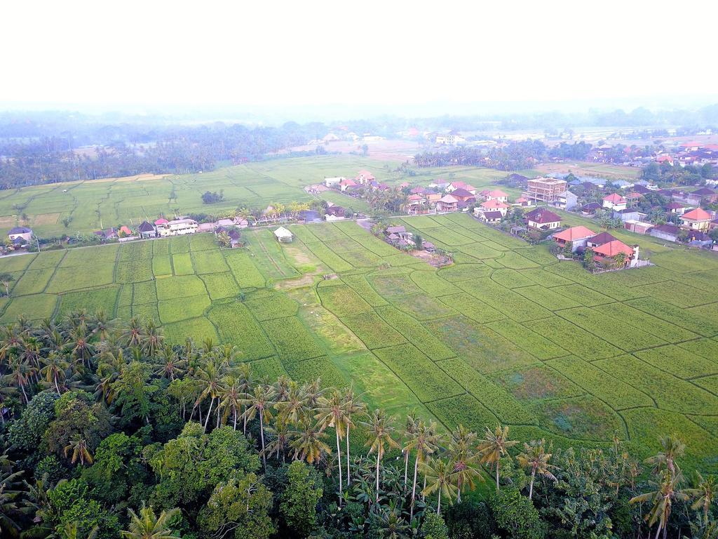 Pangkung Sari Otel Ubud Dış mekan fotoğraf